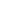 Success icon